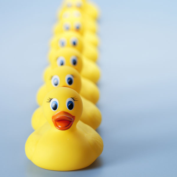 IT-Ducks-In-A-Row