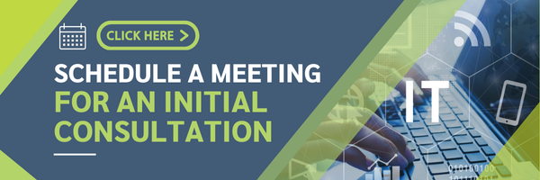 schedule IT consultation